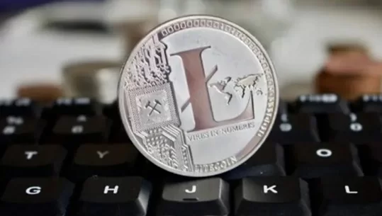 山寨币逆袭，狗狗币涨幅超30%引发关注
